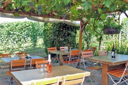 Reblaube in den Reben von Magden lädt zu einem Apero ein mit eigenem Wein aus der Region Magden